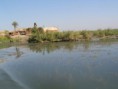 /album/fotogalerij/a42135-moerasarabieren-irak-jpg1/